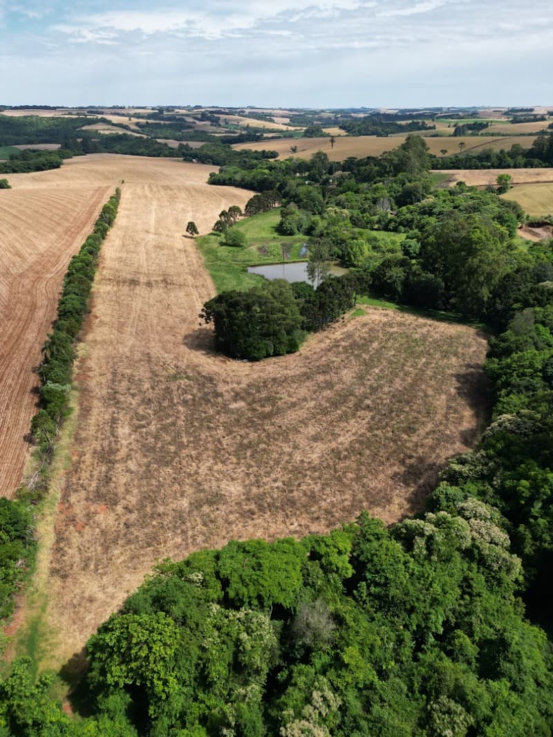 Foto 4 de 7: Area Rural em leilão em Colorado - RS — LOTE 001 UMA FRAÇÃO DE TERRAS DE CULTURA, com a área superficial de 40.600,m² (quarenta mil e seisce