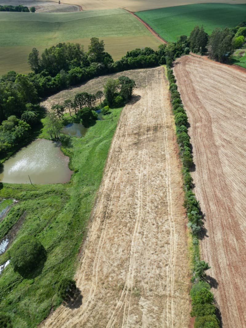 Foto 6 de 7: Area Rural em leilão em Colorado - RS — LOTE 001 UMA FRAÇÃO DE TERRAS DE CULTURA, com a área superficial de 40.600,m² (quarenta mil e seisce
