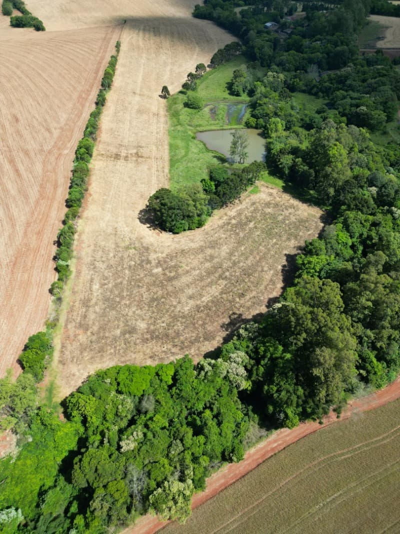 Foto 7 de 7: Area Rural em leilão em Colorado - RS — LOTE 001 UMA FRAÇÃO DE TERRAS DE CULTURA, com a área superficial de 40.600,m² (quarenta mil e seisce