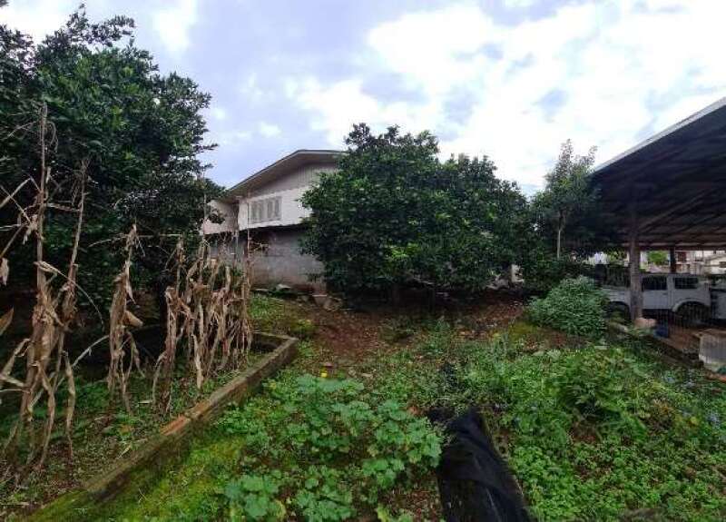 Foto 17 de 18: Casa em leilão em Nova Bassano - RS, bairro Cristo Redentor — LOTE 002 IMÓVEL URBANO COM ÁREA TOTAL DE 360,00M², LOCALIZADO NA RUA DOMINGOS TODESCHINI, N° 244, BA