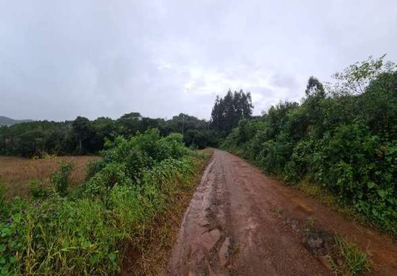 Foto 1 de 6: Area Rural em leilão em David Canabarro - RS — LOTE 004 IMÓVEL RURAL COM ÁREA TOTAL DE 72.600M², LOCALIZADO NA CIDADE DE DAVID CANABARRO/RS