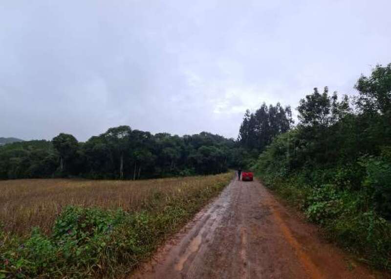 Foto 2 de 6: Area Rural em leilão em David Canabarro - RS — LOTE 004 IMÓVEL RURAL COM ÁREA TOTAL DE 72.600M², LOCALIZADO NA CIDADE DE DAVID CANABARRO/RS