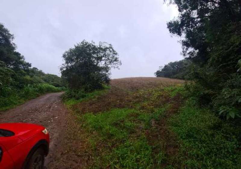 Foto 4 de 6: Area Rural em leilão em David Canabarro - RS — LOTE 004 IMÓVEL RURAL COM ÁREA TOTAL DE 72.600M², LOCALIZADO NA CIDADE DE DAVID CANABARRO/RS