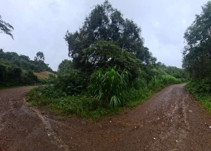 Foto 5 de 6: Area Rural em leilão em David Canabarro - RS — LOTE 004 IMÓVEL RURAL COM ÁREA TOTAL DE 72.600M², LOCALIZADO NA CIDADE DE DAVID CANABARRO/RS
