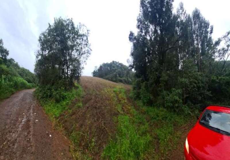 Foto 6 de 6: Area Rural em leilão em David Canabarro - RS — LOTE 004 IMÓVEL RURAL COM ÁREA TOTAL DE 72.600M², LOCALIZADO NA CIDADE DE DAVID CANABARRO/RS