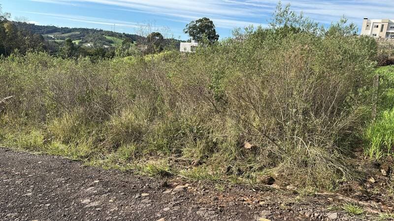 Foto 2 de 9: Terreno em leilão em Rondinha - RS — LOTE 001 TERRENO URBANO N° 12, da quadra n° 14