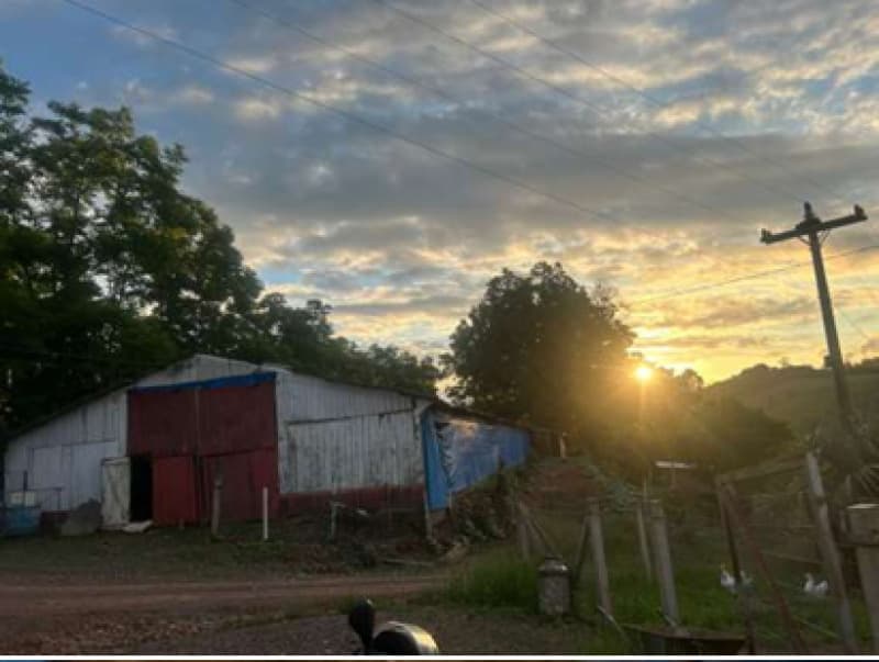 Foto 2 de 13: Area Rural em leilão em Encantado - RS — LOTE 001 Área de terra rural com superfície de 37.125,00 m²