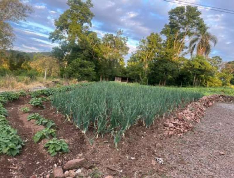 Foto 3 de 13: Area Rural em leilão em Encantado - RS — LOTE 001 Área de terra rural com superfície de 37.125,00 m²