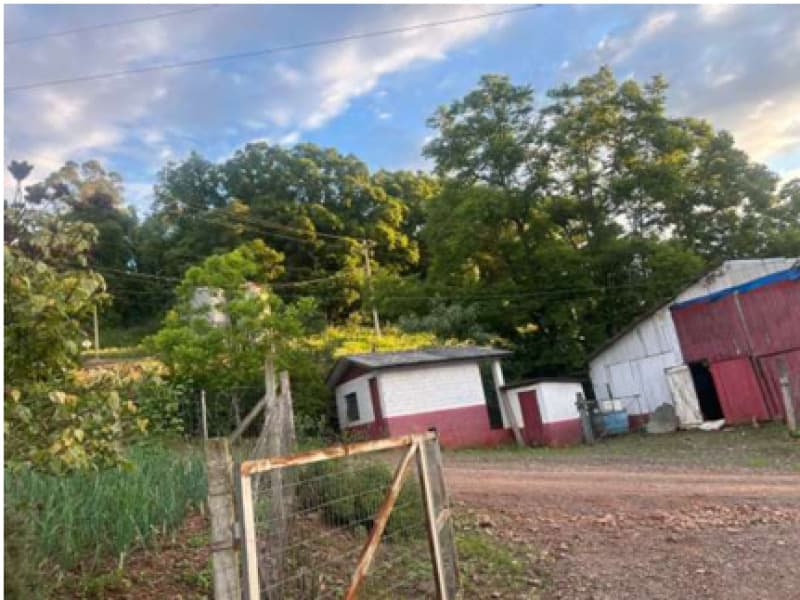Foto 6 de 13: Area Rural em leilão em Encantado - RS — LOTE 001 Área de terra rural com superfície de 37.125,00 m²