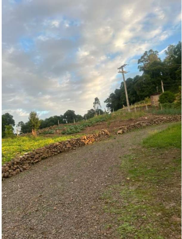 Foto 10 de 13: Area Rural em leilão em Encantado - RS — LOTE 001 Área de terra rural com superfície de 37.125,00 m²