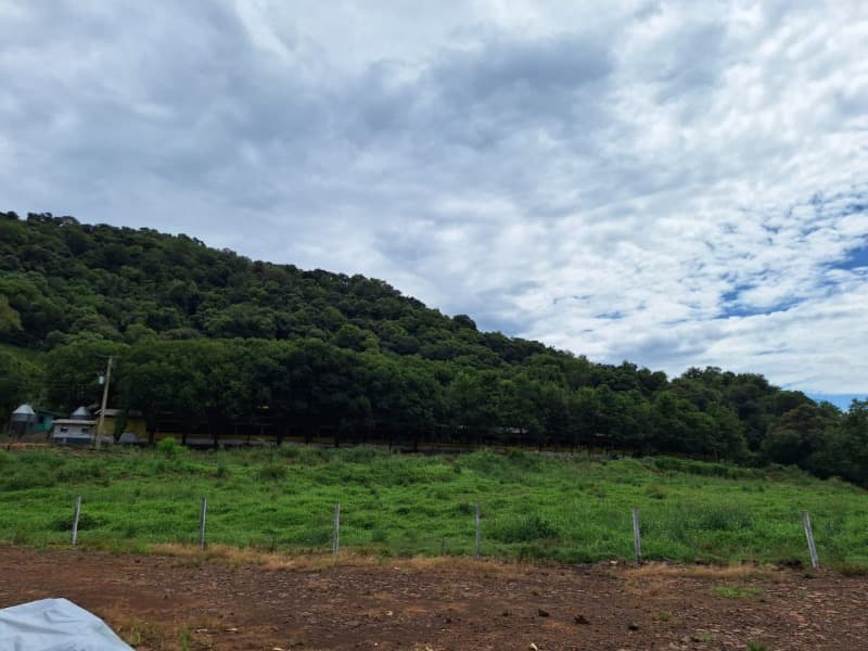 Foto 1 de 6: Terreno em leilão em Constantina - RS — LOTE 004 PARTE LOTE RURAL Nº 114, da primeira secção Baitaca, com a área de 50.000m², na Linha São M
