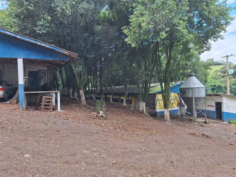 Foto 2 de 6: Terreno em leilão em Constantina - RS — LOTE 004 PARTE LOTE RURAL Nº 114, da primeira secção Baitaca, com a área de 50.000m², na Linha São M