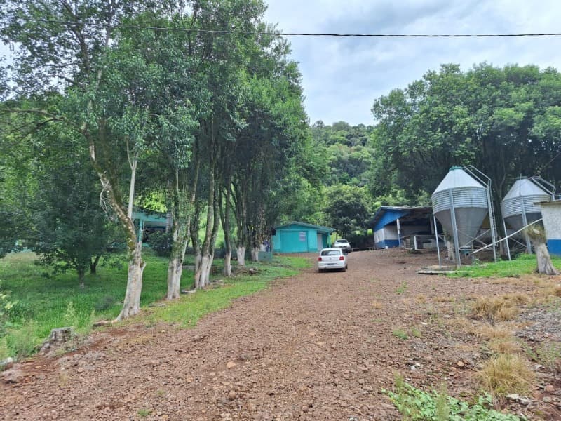 Foto 3 de 6: Terreno em leilão em Constantina - RS — LOTE 004 PARTE LOTE RURAL Nº 114, da primeira secção Baitaca, com a área de 50.000m², na Linha São M