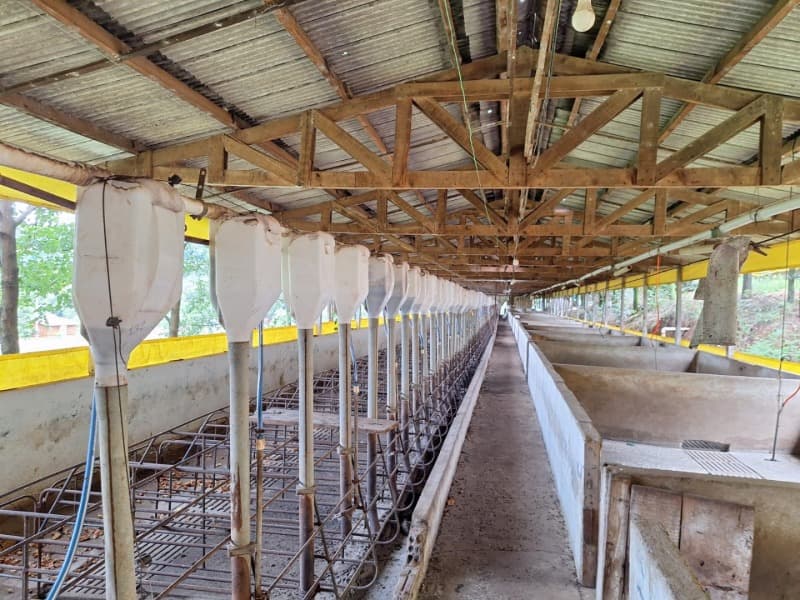 Foto 6 de 6: Terreno em leilão em Constantina - RS — LOTE 004 PARTE LOTE RURAL Nº 114, da primeira secção Baitaca, com a área de 50.000m², na Linha São M