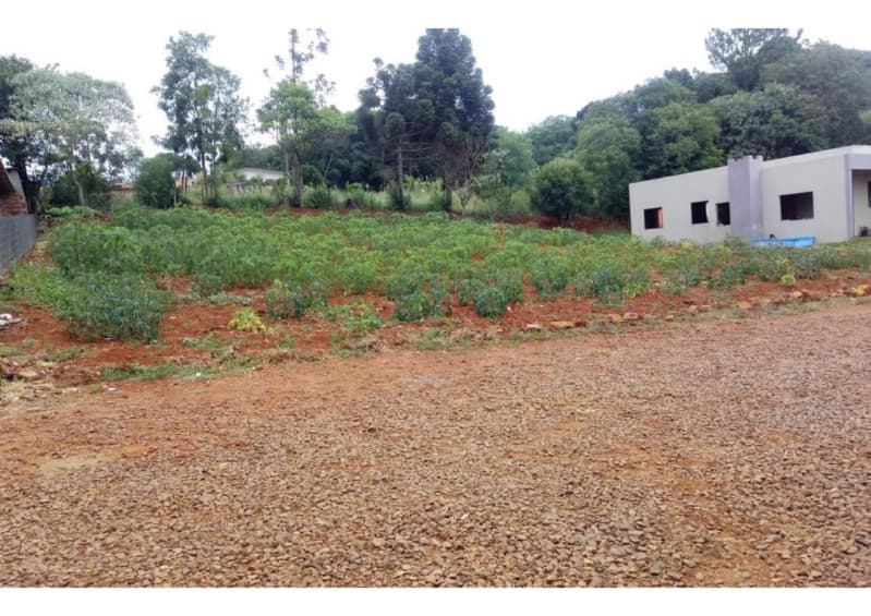 Foto 5 de 5: Terreno em leilão em Ronda Alta - RS — LOTE 008 LOTE URBANO, com a área 287,59m², em Ronda Alta/RS