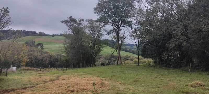Foto 2 de 7: Terreno em leilão em Engenho Velho - RS — LOTE 023 FRAÇÃO DE 2,5 HECTARES, Linha Bonita, em Engenho Velho/RS
