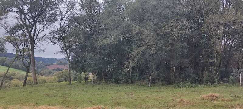 Foto 3 de 7: Terreno em leilão em Engenho Velho - RS — LOTE 023 FRAÇÃO DE 2,5 HECTARES, Linha Bonita, em Engenho Velho/RS