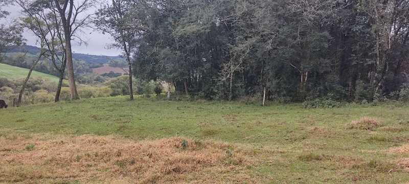 Foto 5 de 7: Terreno em leilão em Engenho Velho - RS — LOTE 023 FRAÇÃO DE 2,5 HECTARES, Linha Bonita, em Engenho Velho/RS