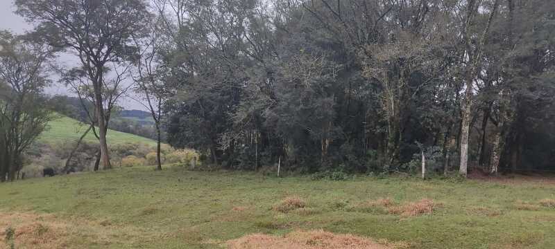 Foto 6 de 7: Terreno em leilão em Engenho Velho - RS — LOTE 023 FRAÇÃO DE 2,5 HECTARES, Linha Bonita, em Engenho Velho/RS