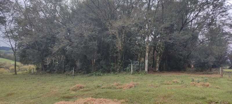 Foto 7 de 7: Terreno em leilão em Engenho Velho - RS — LOTE 023 FRAÇÃO DE 2,5 HECTARES, Linha Bonita, em Engenho Velho/RS