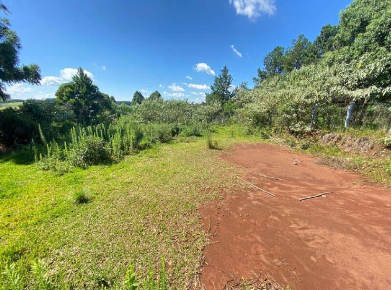 Foto 1 de 6: Terreno em leilão em Erval Grande - RS — LOTE 024 Terreno Urbano, com área de 589.27m², em Erval Grande/RS