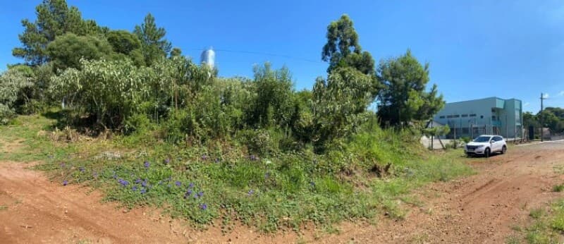 Foto 2 de 6: Terreno em leilão em Erval Grande - RS — LOTE 024 Terreno Urbano, com área de 589.27m², em Erval Grande/RS
