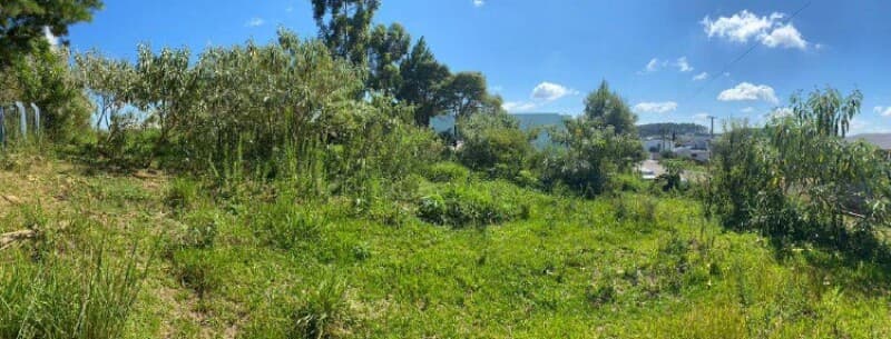 Foto 5 de 6: Terreno em leilão em Erval Grande - RS — LOTE 024 Terreno Urbano, com área de 589.27m², em Erval Grande/RS