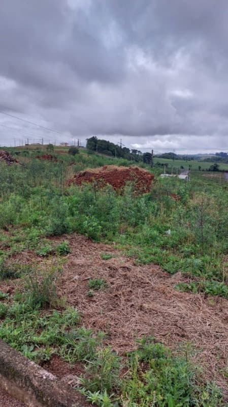 Foto 6 de 6: Terreno em leilão em Xanxerê - SC, bairro Primavera — LOTE 047 LOTE URBANO Nº 67, com a área de 307,20m², Loteamento Belvedere, Bairro Primavera, Xaxim/SC