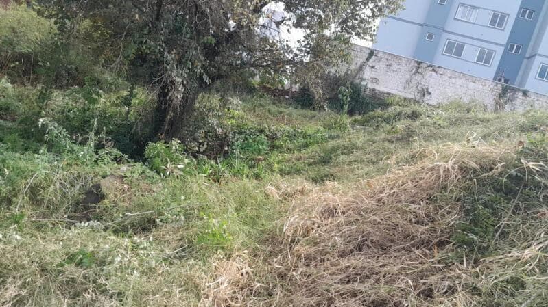 Foto 1 de 5: Terreno em leilão em Chapecó - SC, bairro Jardim Itália — LOTE 080 Lote Urbano nº. 14 da Quadra nº. 4189, com área de 5.027,229m², na Rua Aquiles Tomazelli, B