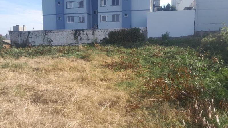 Foto 2 de 5: Terreno em leilão em Chapecó - SC, bairro Jardim Itália — LOTE 080 Lote Urbano nº. 14 da Quadra nº. 4189, com área de 5.027,229m², na Rua Aquiles Tomazelli, B