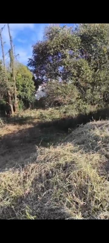 Foto 4 de 5: Terreno em leilão em Chapecó - SC, bairro Jardim Itália — LOTE 080 Lote Urbano nº. 14 da Quadra nº. 4189, com área de 5.027,229m², na Rua Aquiles Tomazelli, B