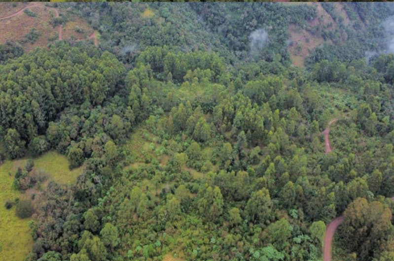 Foto 1 de 5: Area Rural em leilão em Chapecó - SC — LOTE 069 Parte de uma área de terras de cultura e matos, com a área de 12,6243ha (126.243,00m²) e pe