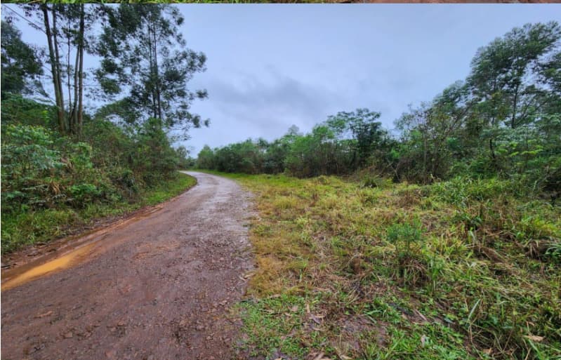 Foto 2 de 5: Area Rural em leilão em Chapecó - SC — LOTE 069 Parte de uma área de terras de cultura e matos, com a área de 12,6243ha (126.243,00m²) e pe