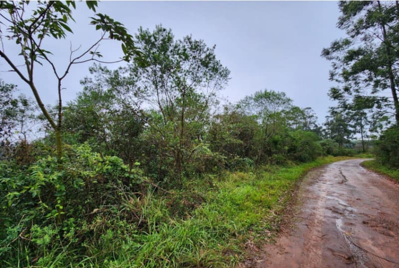 Foto 3 de 5: Area Rural em leilão em Chapecó - SC — LOTE 069 Parte de uma área de terras de cultura e matos, com a área de 12,6243ha (126.243,00m²) e pe