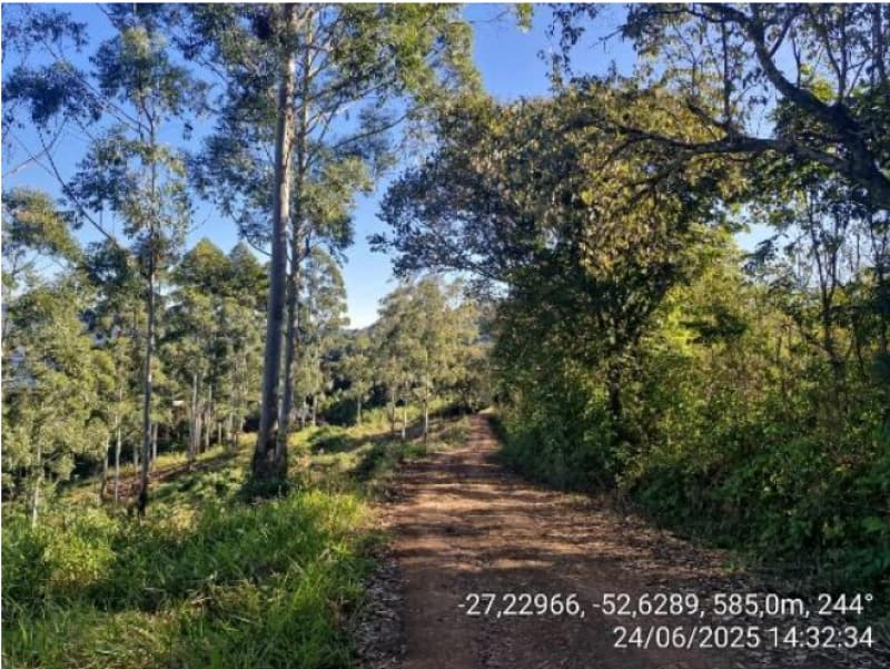 Foto 4 de 5: Area Rural em leilão em Chapecó - SC — LOTE 069 Parte de uma área de terras de cultura e matos, com a área de 12,6243ha (126.243,00m²) e pe