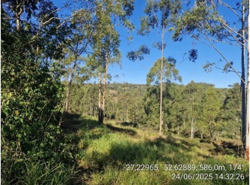 Foto 5 de 5: Area Rural em leilão em Chapecó - SC — LOTE 069 Parte de uma área de terras de cultura e matos, com a área de 12,6243ha (126.243,00m²) e pe