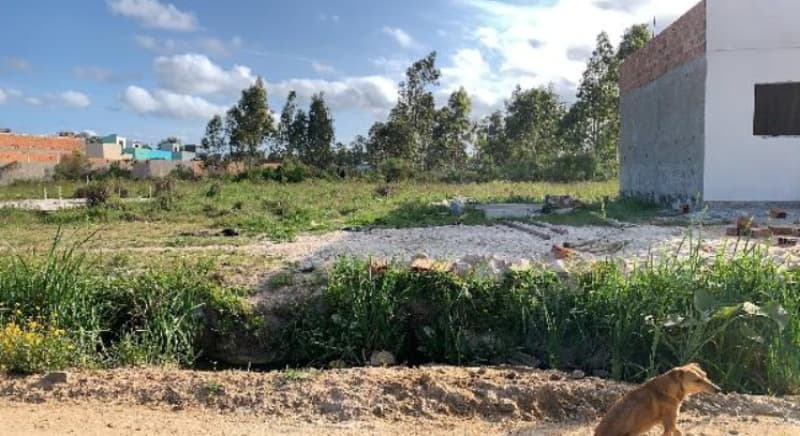 Terreno em leilão em Pelotas - RS — LOTE 306 RS-PELOTAS