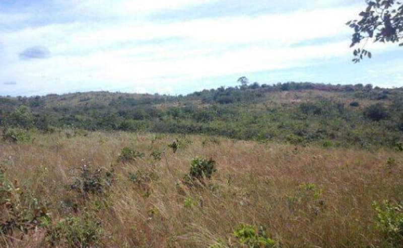 Area Rural em leilão em Tiros - MG — LOTE 001 IMÓVEL RURAL EM TIROS/MG
