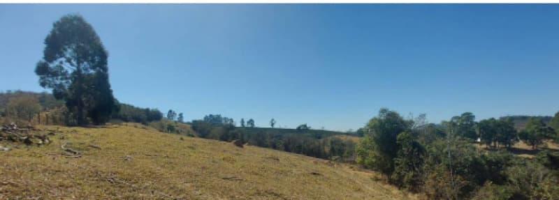Area Rural em leilão em Delfinópolis - MG — LOTE 002 IMÓVEL RURAL EM DELFINÓPOLIS/MG