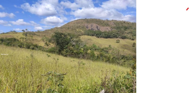 Area Rural em leilão em Coronel Murta - MG — LOTE 001 IMÓVEL RURAL EM CORONEL MURTA/MG