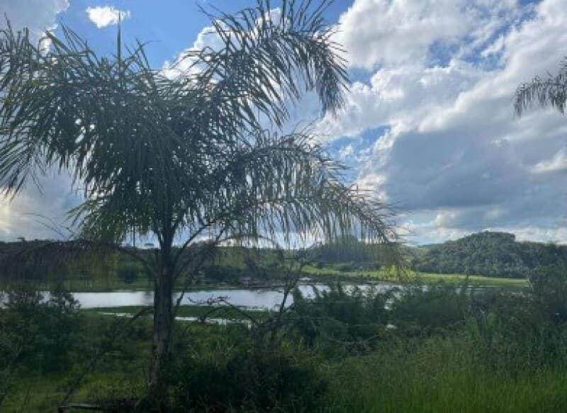 Foto 14 de 23: Terreno em leilão em Juiz De Fora - MG — LOTE 001-2 TERRENO DE 4.800 M2 EM JUIZ DE FORA/MG