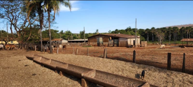Foto 5 de 6: Area Rural em leilão em Água Comprida - MG — LOTE 001 FRAÇÃO DE 50% DE IMÓVEL RURAL EM ÁGUA COMPRIDA/MG