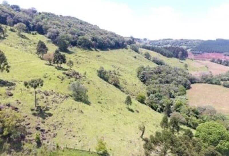 Area Rural em leilão em Passos - MG — LOTE 001 12,5% DE IMÓVEL RURAL NO MUNICÍPIO DE PASSOS/MG