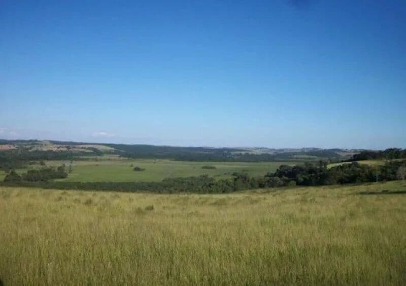 Area Rural em leilão em Santana Do Deserto - MG — LOTE 003 IMÓVEL RURAL EM SANTANA DO DESERTO/MG COM 47,90 HA