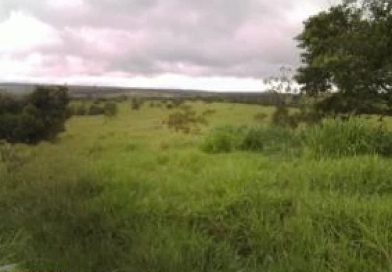 Area Rural em leilão em Virgem Da Lapa - MG — LOTE 006 IMÓVEL RURAL NO DISTRITO DE VIRGEM DA LAPA/MG