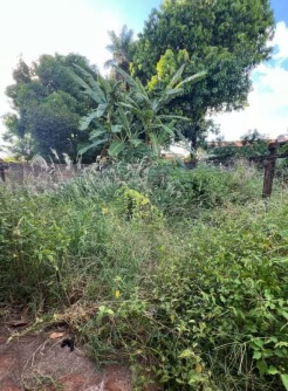 Foto 15 de 15: Terreno em leilão em Itapagipe - MG — LOTE 001 IMÓVEL RESIDENCIAL EM ITAPAGIPE/MG