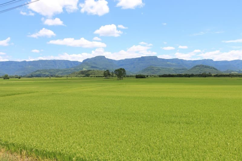 Area Rural em leilão em São Sebastião Do Maranhão - MG — LOTE 001-3 FRAÇÃO IDEAL DE 52,89 HECTARES DE UMA FAZENDA EM SÃO SEBASTIÃO DO MARANHÃO/MG