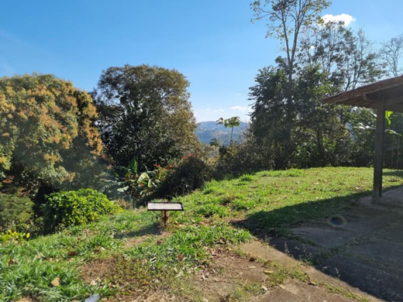 Foto 11 de 14: Area Rural em leilão em Juiz De Fora - MG — LOTE 001 IMÓVEL RURAL DENOMINADO SÍTIO BOURBON EM JUIZ DE FORA/MG
