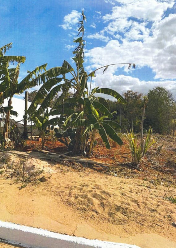 Foto 1 de 2: Terreno em leilão em Patrocínio - MG, bairro Morada do Sol — LOTE 001-8 LOTE DE TERRENO Nº 383 EM PATROCÍNIO/MG