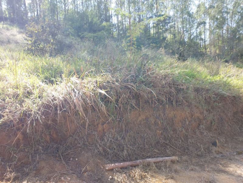 Foto 3 de 4: Terreno em leilão em Matias Barbosa - MG — LOTE 005 UM IMÓVEL URBANO EM MATIAS BARBOSA/MG